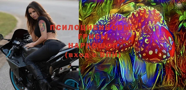 стаф Карталы