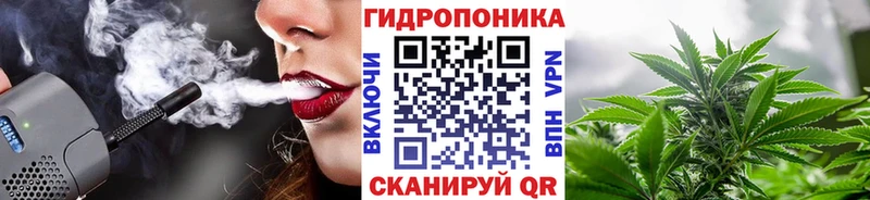 Канабис план  купить  цена  Бирюсинск 